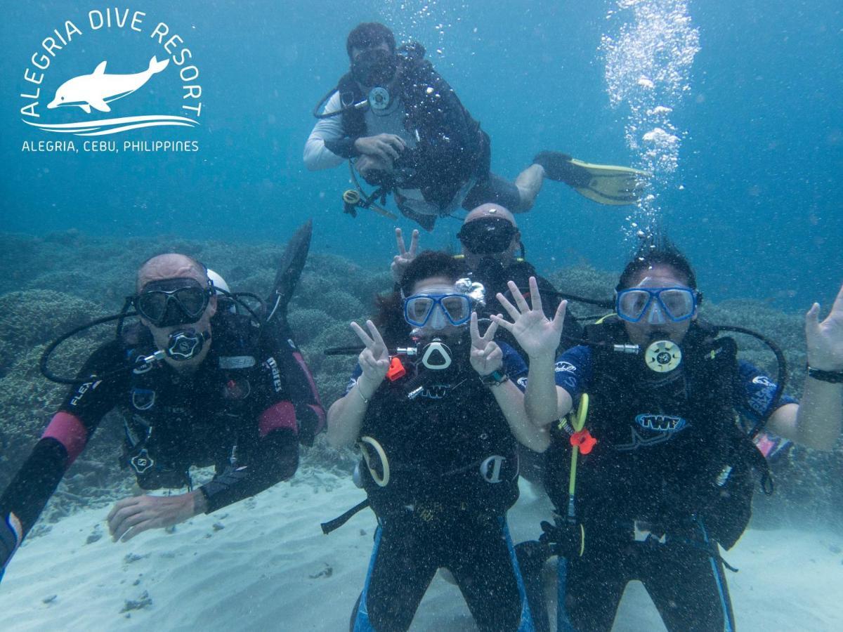 Alegria Dive Resort المظهر الخارجي الصورة