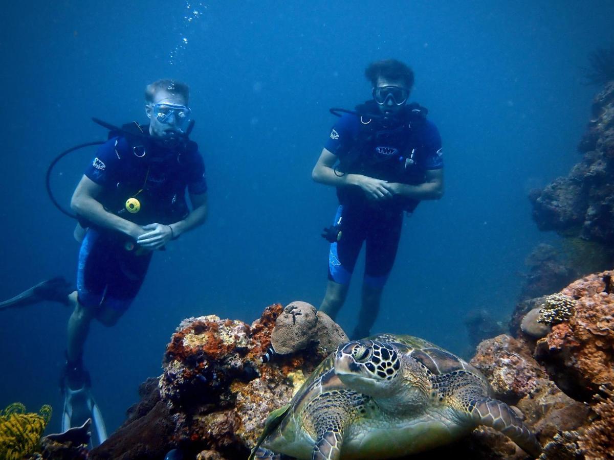 Alegria Dive Resort المظهر الخارجي الصورة