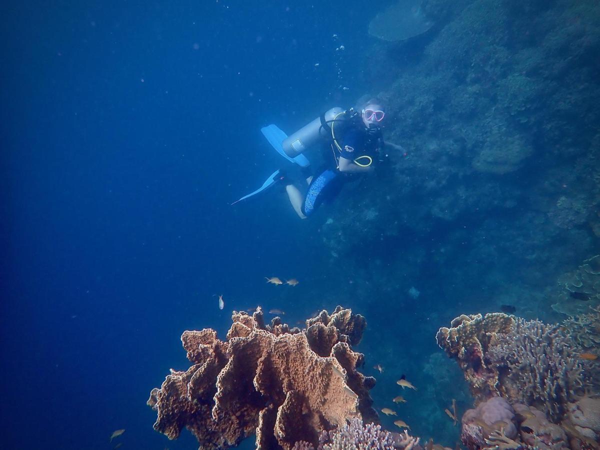 Alegria Dive Resort المظهر الخارجي الصورة